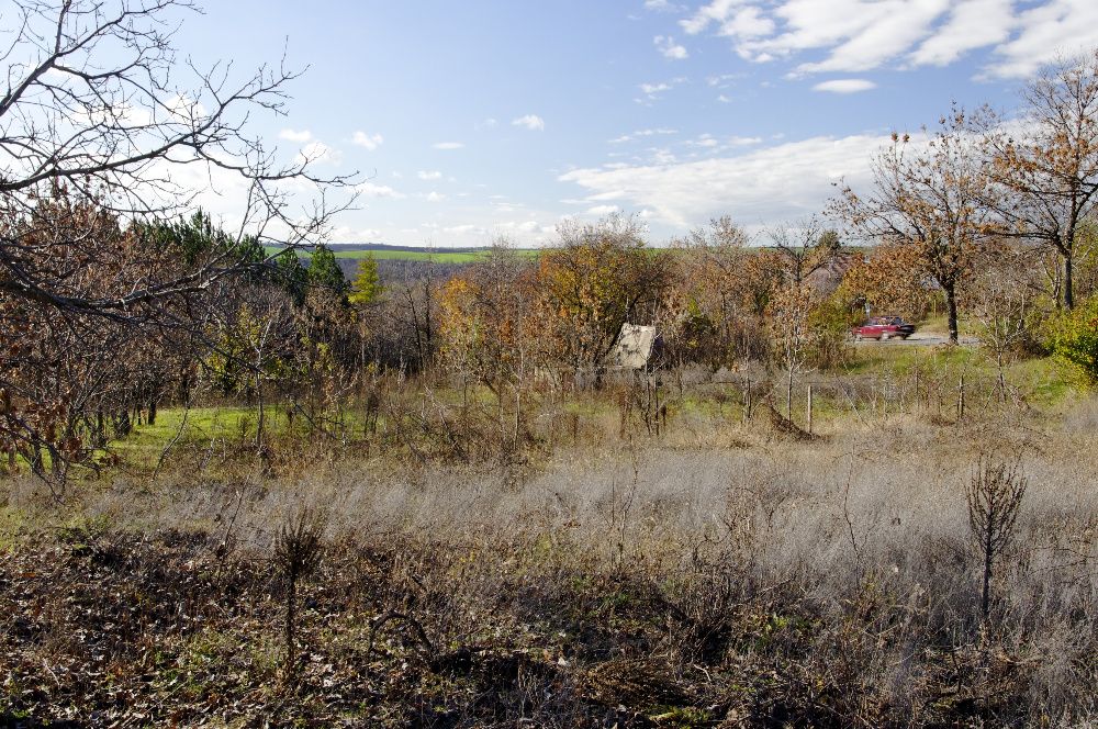 Продава се Парцел в с. Басарбово, Област Русе - 758 кв.м за 92 €/кв.м - Снимка #1