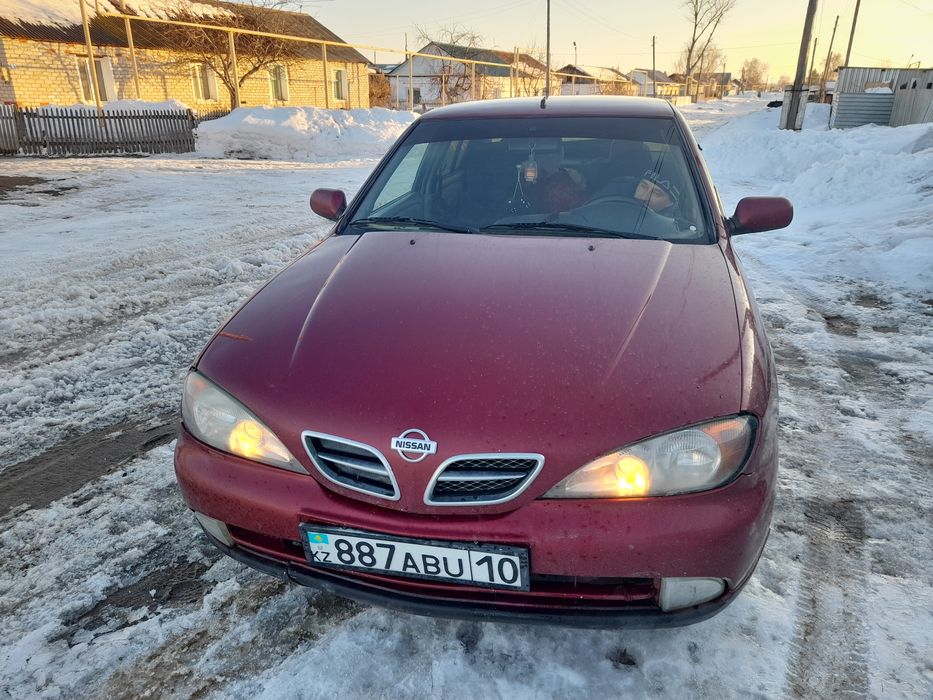 Продам ниссан примьера п  11