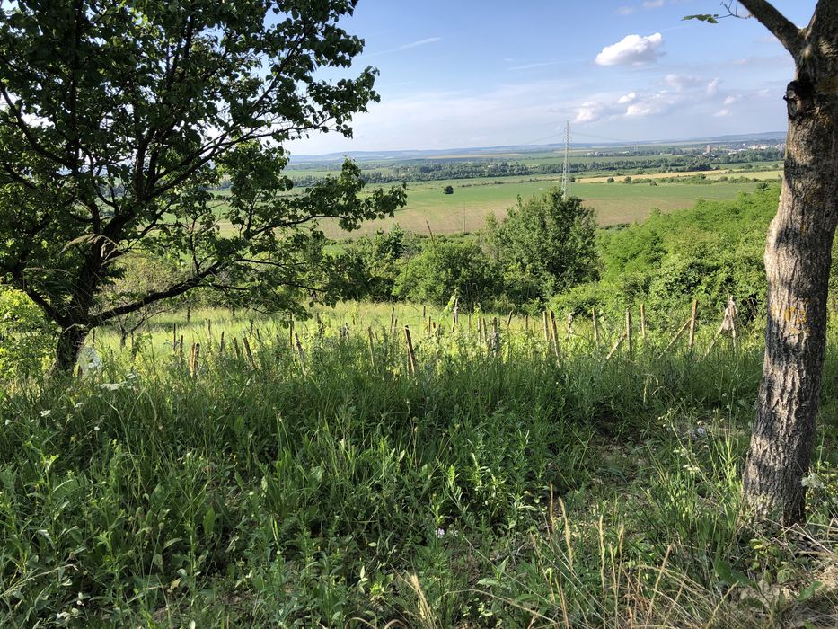 Продава се Парцел в с. Разбойна, Област Търговище - 901 кв.м за 10 €/кв.м - Снимка #4