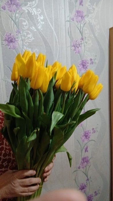 Премиум шикарные тюльпаны, 60 см, крупные!