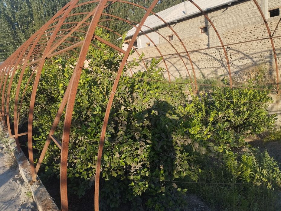 Hamma sharoitlari bor yer uchastkasi sotiladi