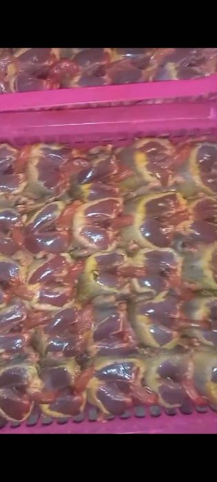 Дикие сизие голуби