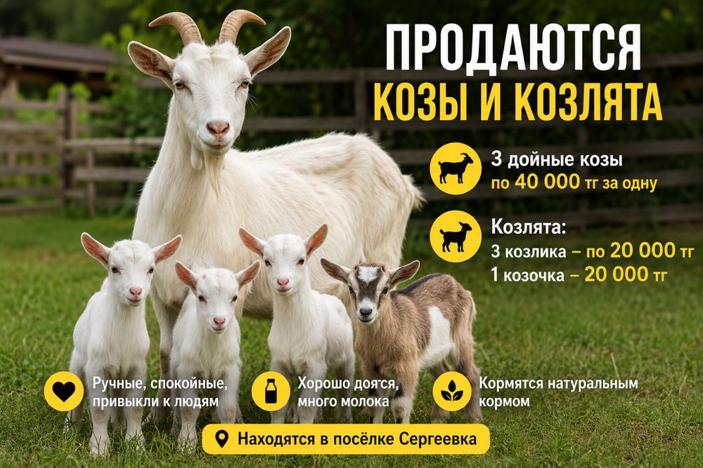 ПРОДАЮТСЯ козы и козлята