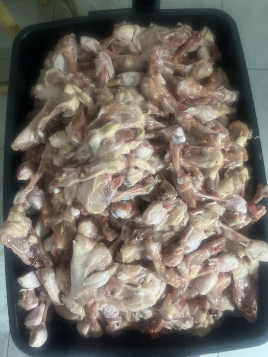 Супнабор таауық сүйегі