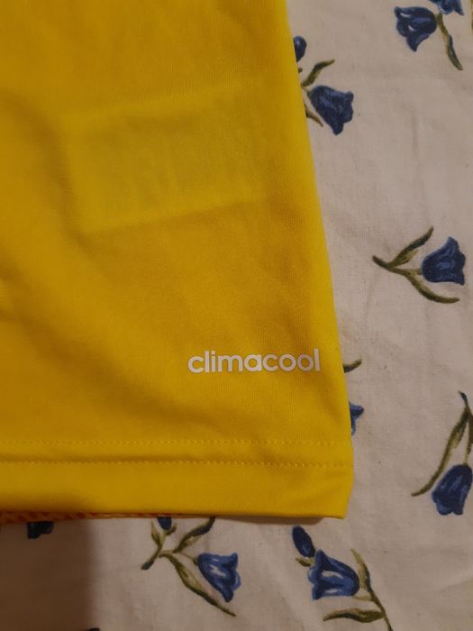 Мъжка спортна тениска Adidas climacool