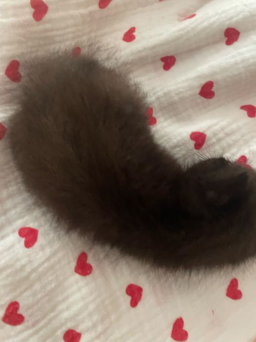 Черный котик,почти 1 месяц