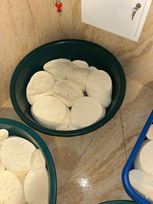 Branza de vacă , produs natural și de calitate