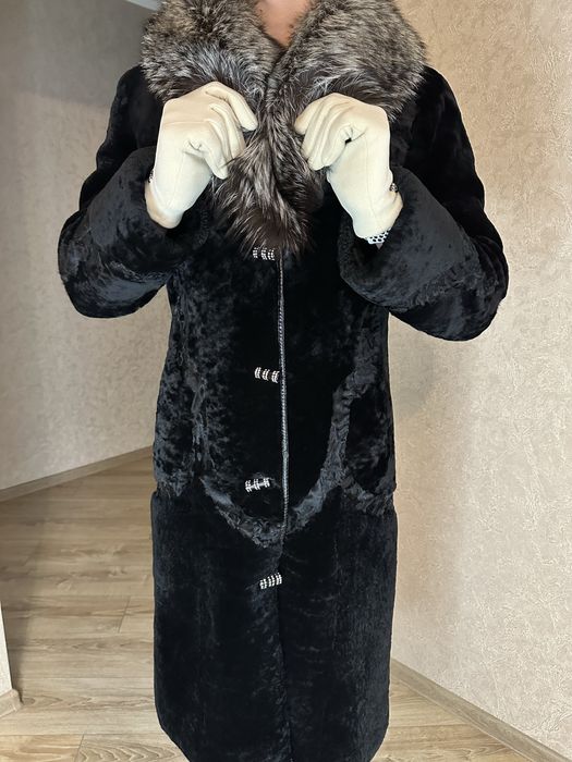 Шума цигейка/писец