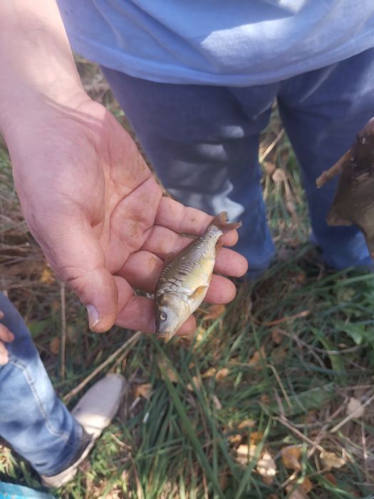 Продам или обмен дом с озером !