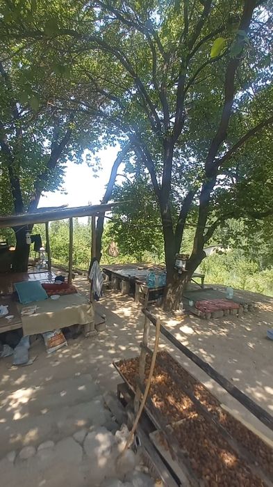 Дача сотилади 16 сотих