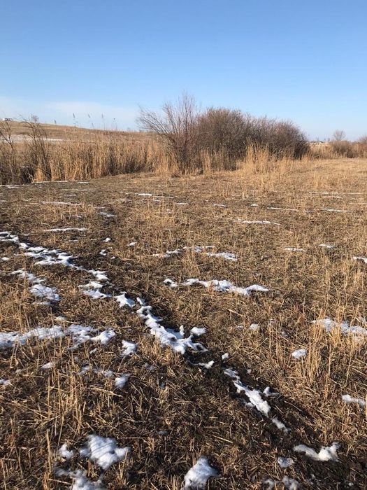 Участок КХ Касымбек