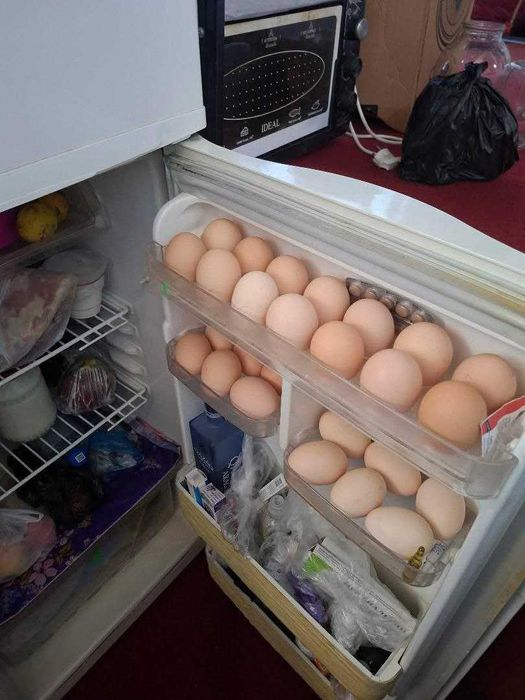 Samsung xaladelnik B_U sotiladi