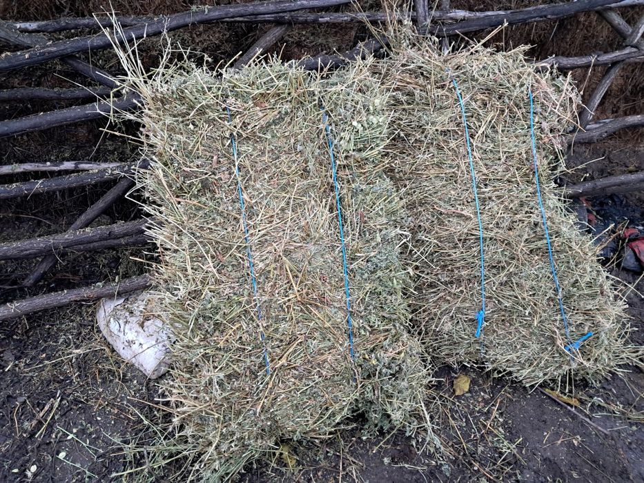 Baloti de lucerna, fân și paie de vanzare