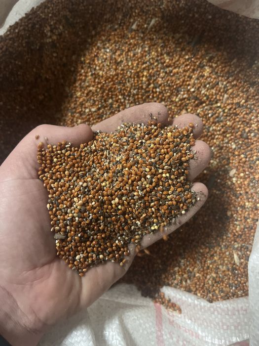 Продам корма для животных