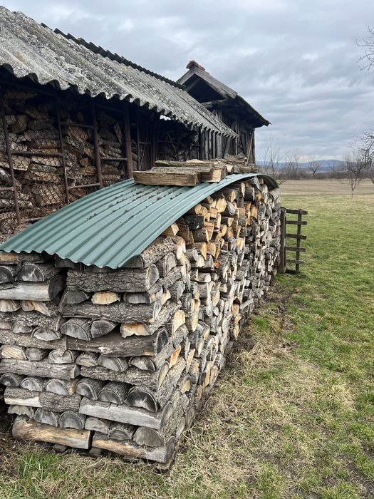 Vand lemn de foc esența tare,uscat ,tăiat pt centrala