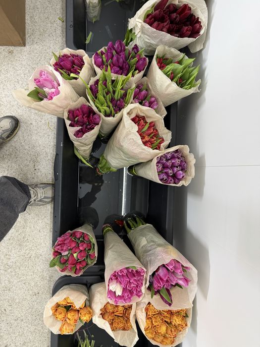 Отдам тюльпаны за 400тг