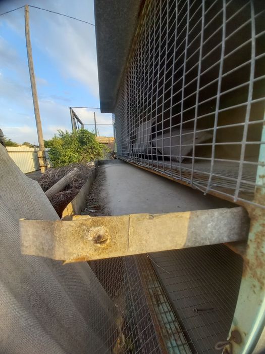 Цыплятник, крольчатник