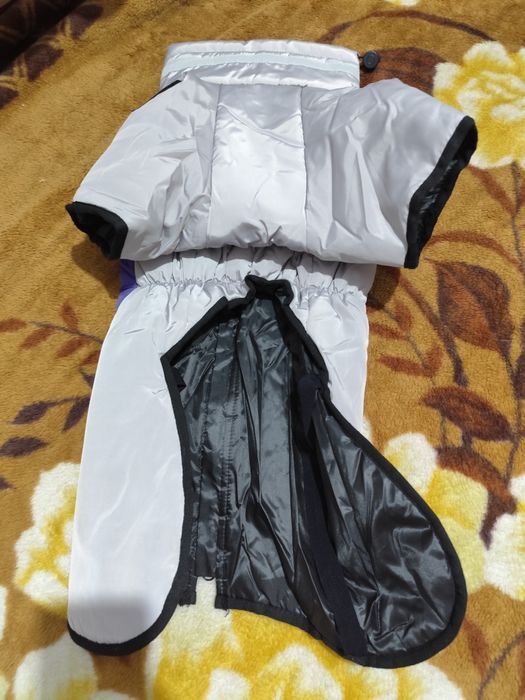 Одежда для собак