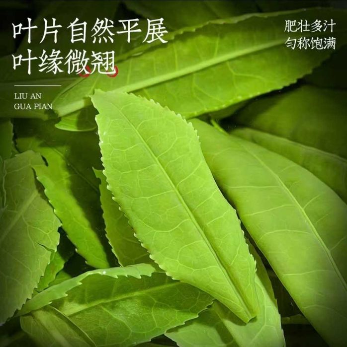 Чай зелёный Китайский Люань Гуа Пянь