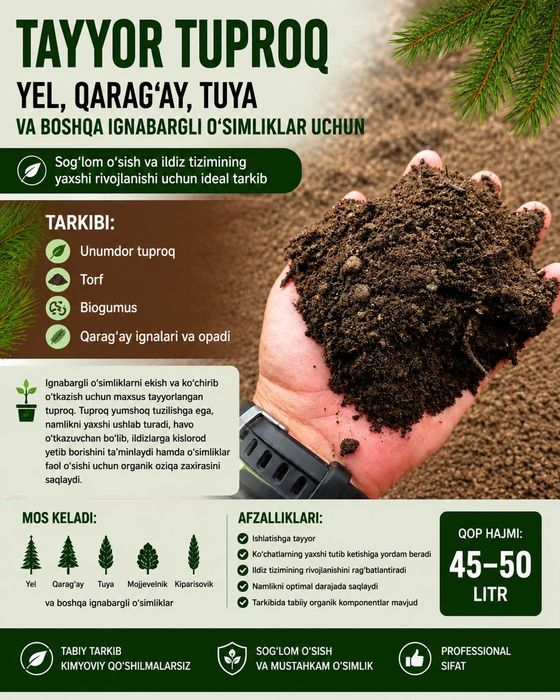 Grunt "ARCHA": qarag‘ay, tuya va boshqa ignabargli o‘simliklar uchun