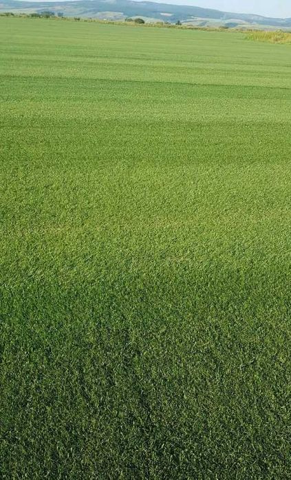 Gazon Rulou Sisteme de Irigare Iritron/Hunter Rain Bird