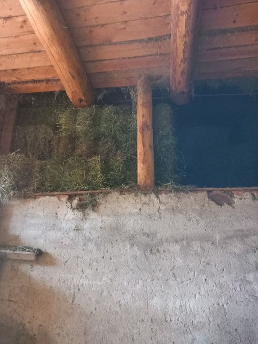 Baloți de fân, lucernă, otavă și paie