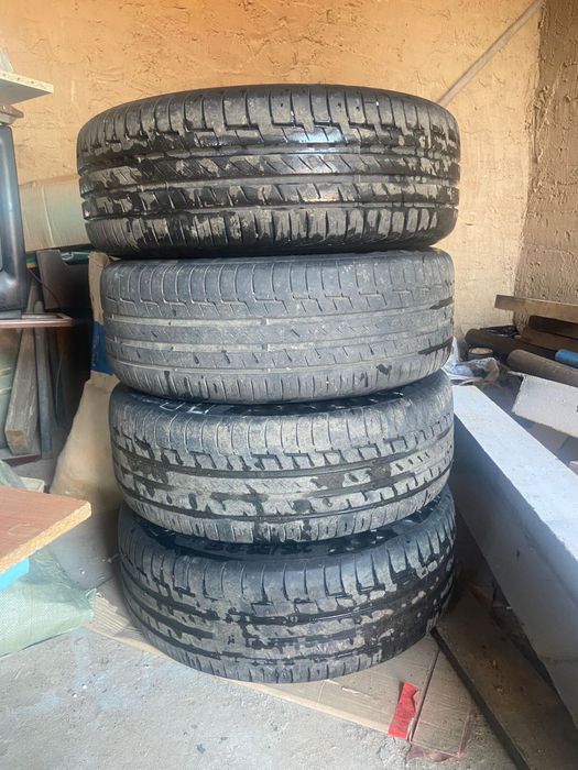 17 донгелек новый