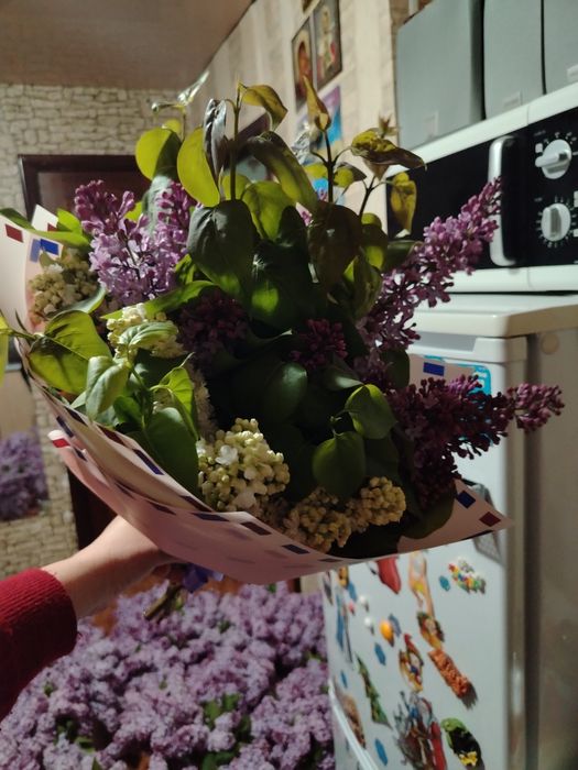 Красивые отдам на 5000