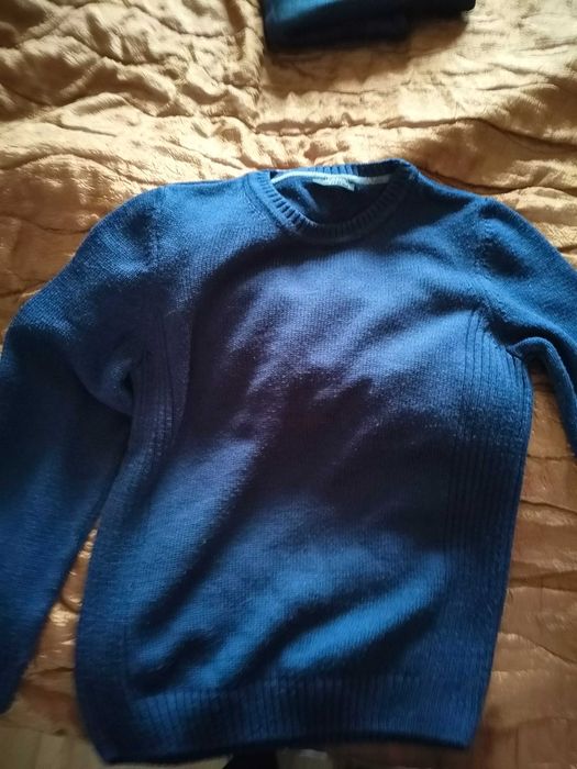 Мъжки пуловери Л