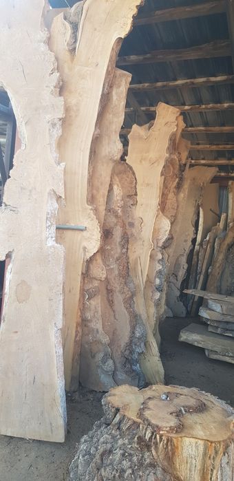 Слэбы каповые карагач