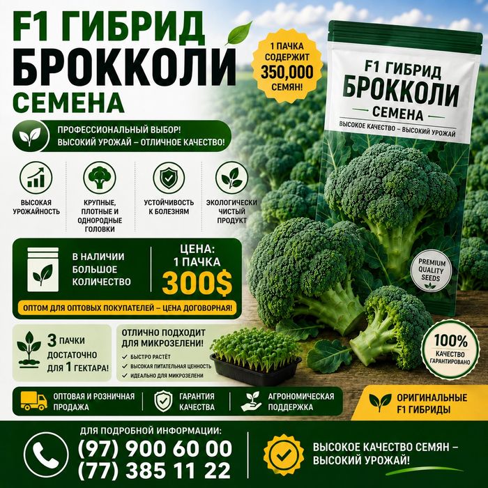 Urug' F1 Hybrid Broccoli