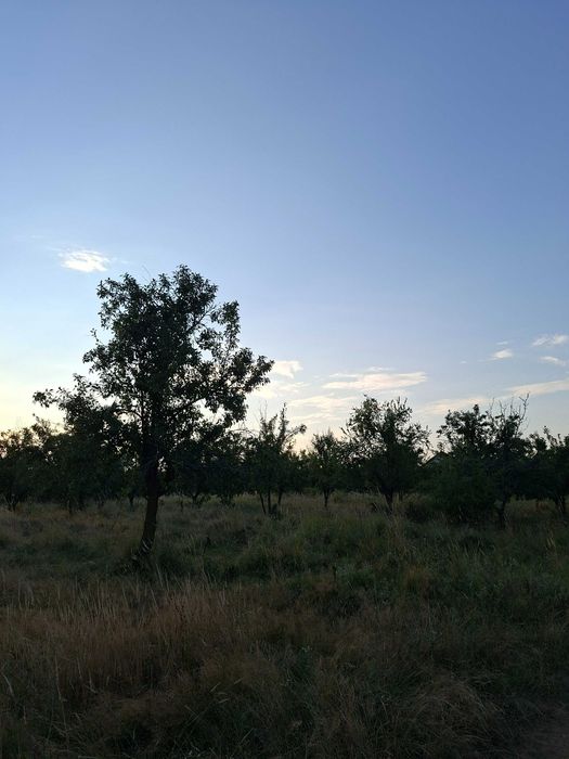 Teren de vânzare Smeura