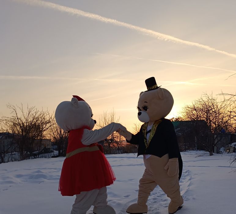 Мишка Тедди в аренду