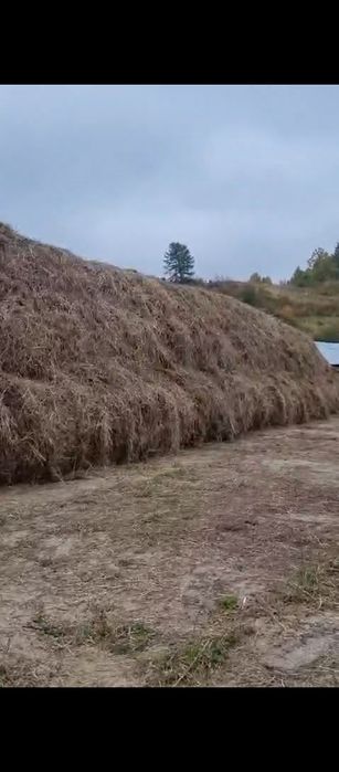 Продам сено в тюках