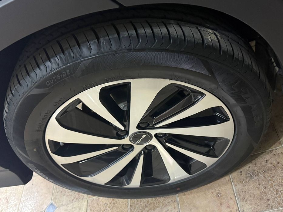 BYD song plus chempion