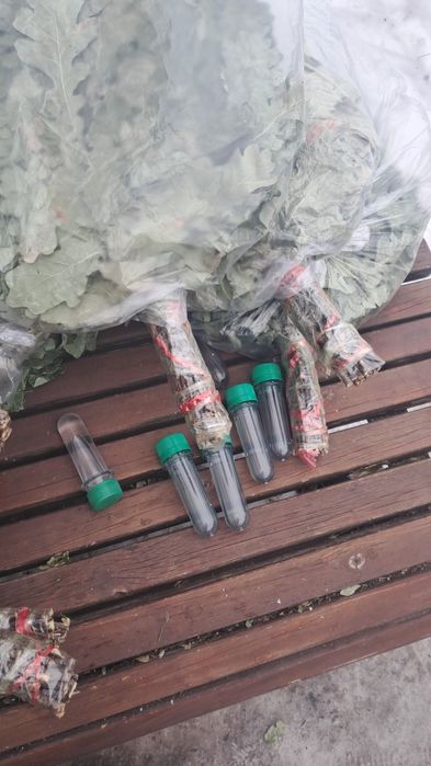 Веники для баня  краснодарскии