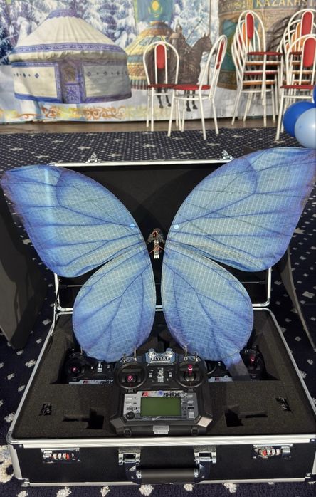 Летающая бабочка в аренду, кобелек