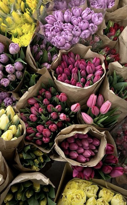 Цветы разные роз