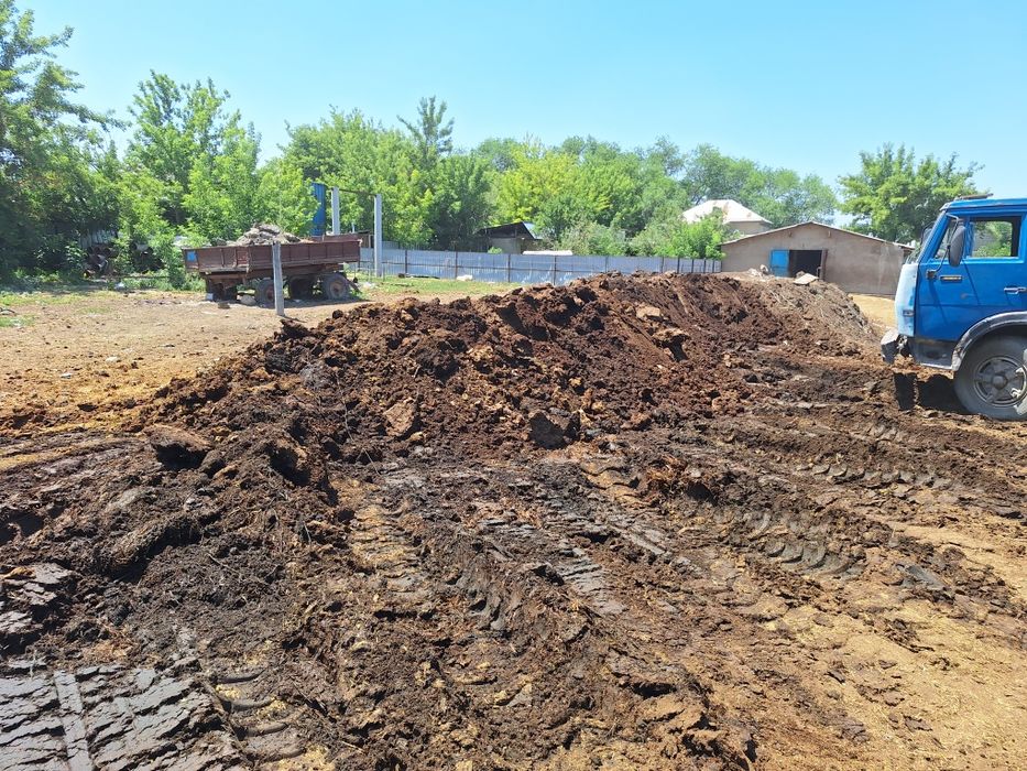 Навоз Конский, Чистый.