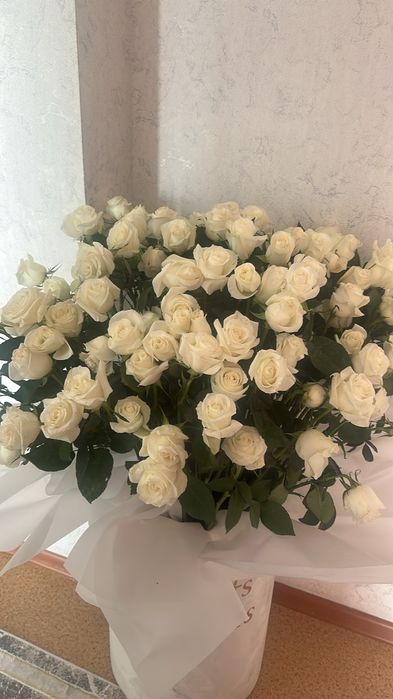 Продам 101 розу с вазой