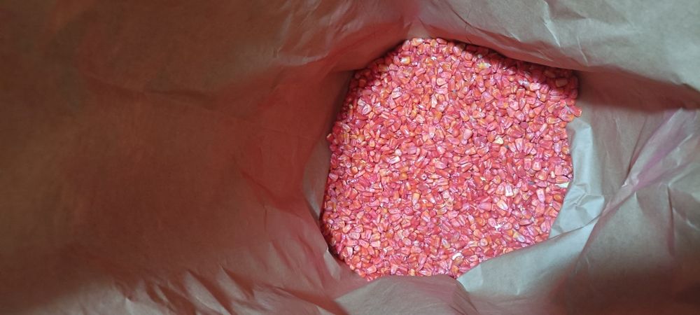 Семена кукурузы Китай