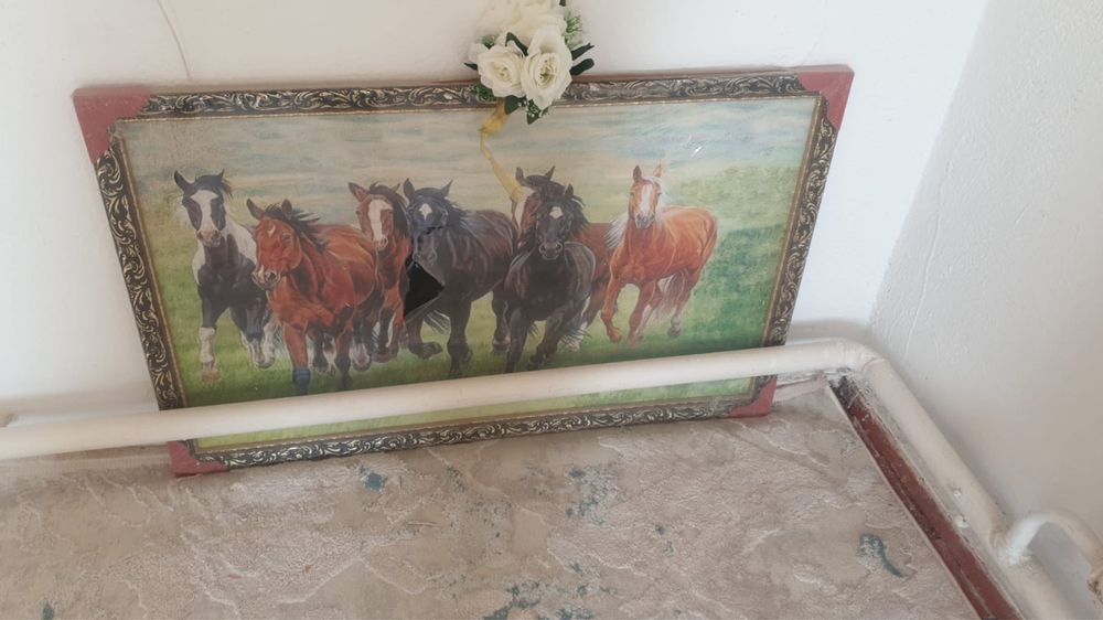 Продается срочно красивая картина