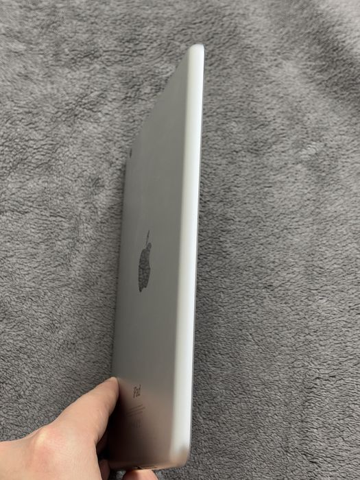 iPad mini (1-е поколение)