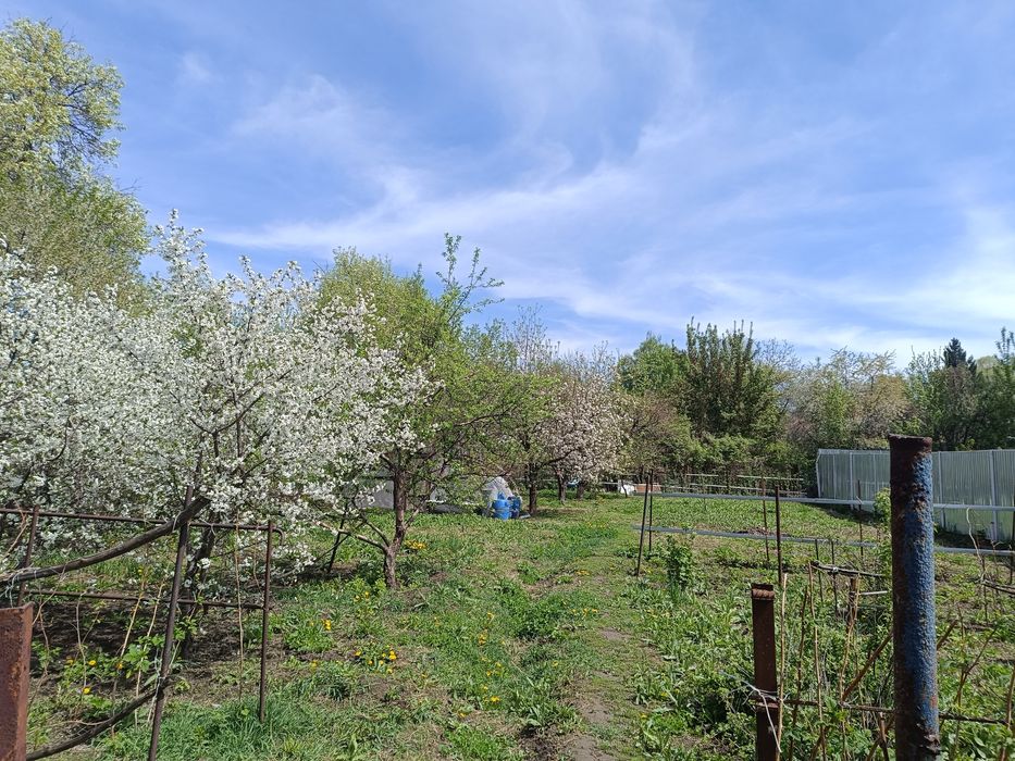 Продам два дома на одном участке