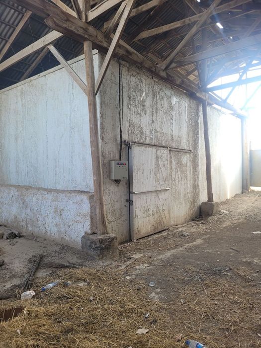 Muzlatgich 200 tonnalik