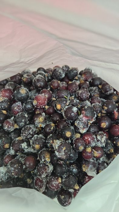 Продам смородину щамороженную дачную.