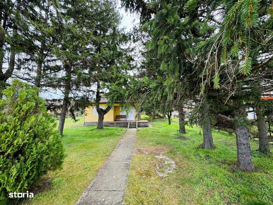 Panoramă eternă asupra Balatonului