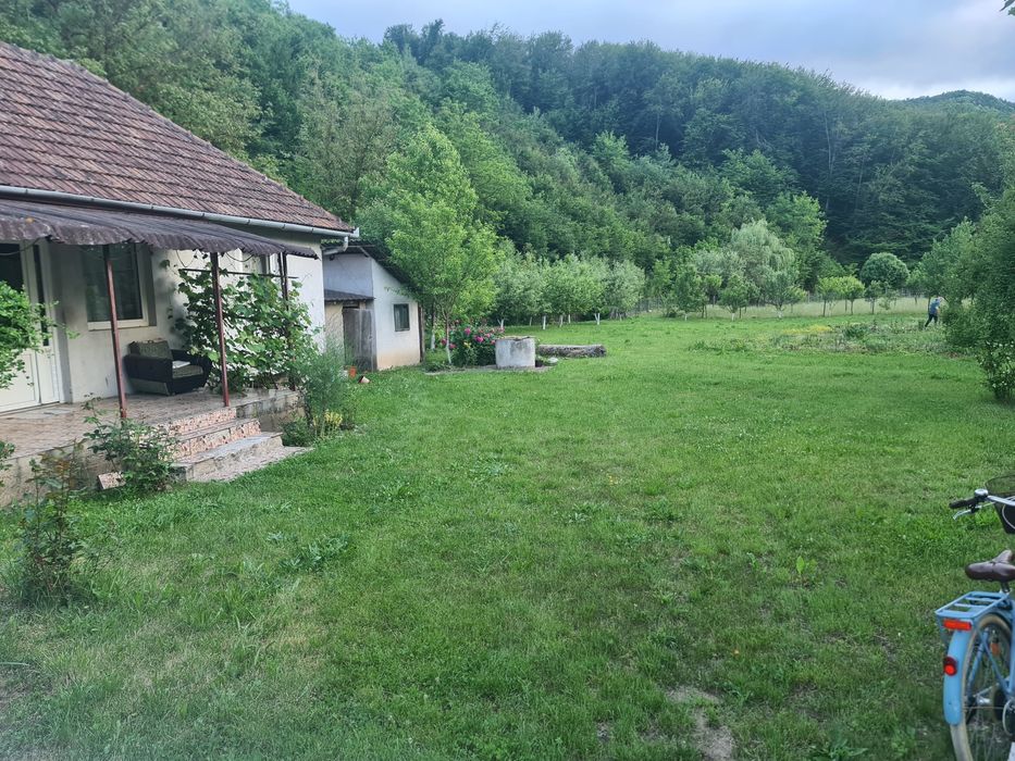 Vand casa cu gradina