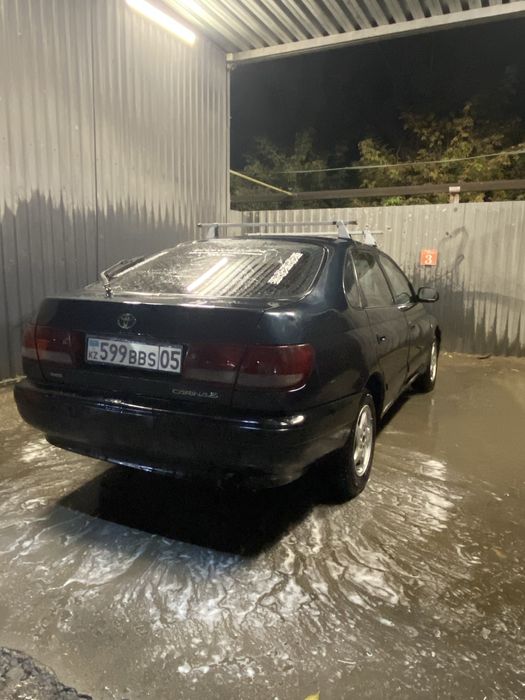 Карина Е сатылады