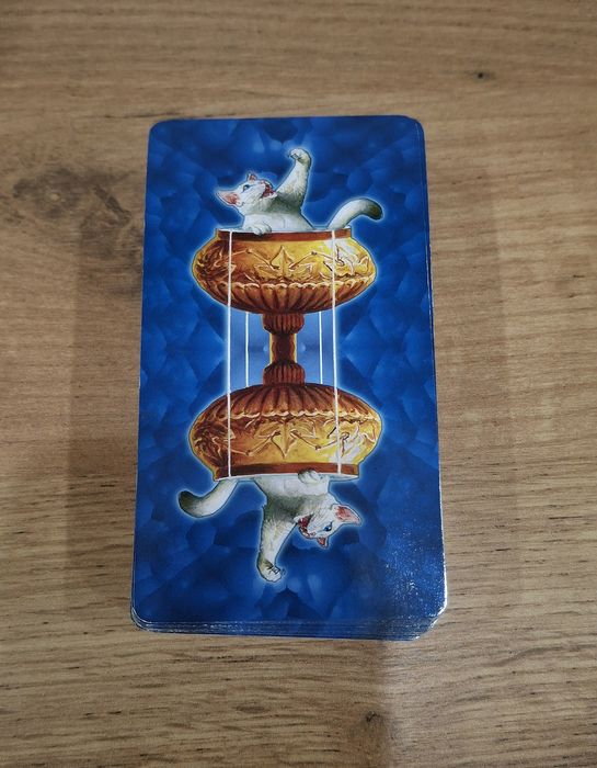 Продаю таро белых кошек